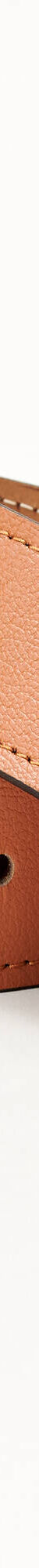 Riem met goudkleurige gesp (karamel) Riem met goudkleurige gesp (karamel)